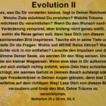 Evolution II Text