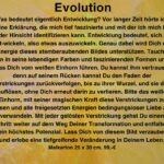 Evolution Text